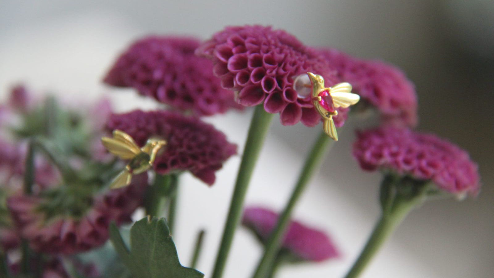 Hummingbird earrings